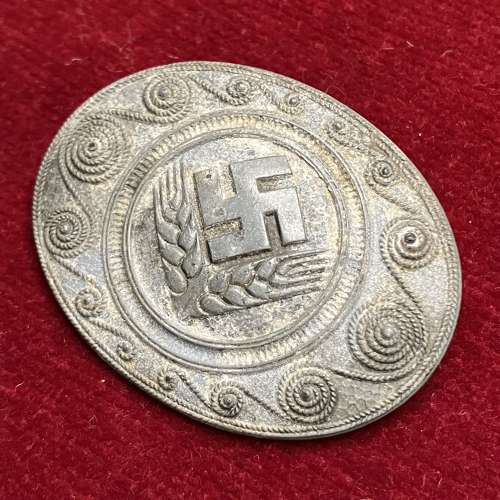 Female RAD neck brooch
