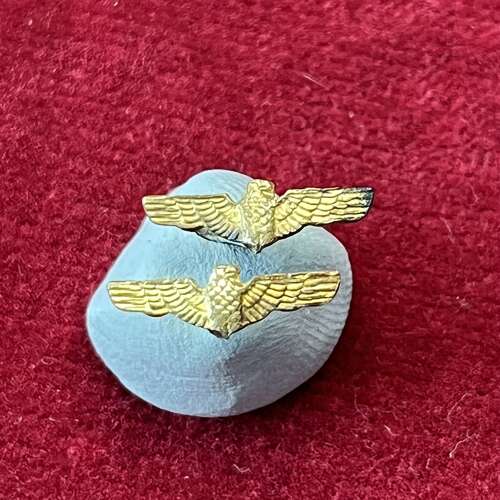 Two de-nazified ribbon bar eagles